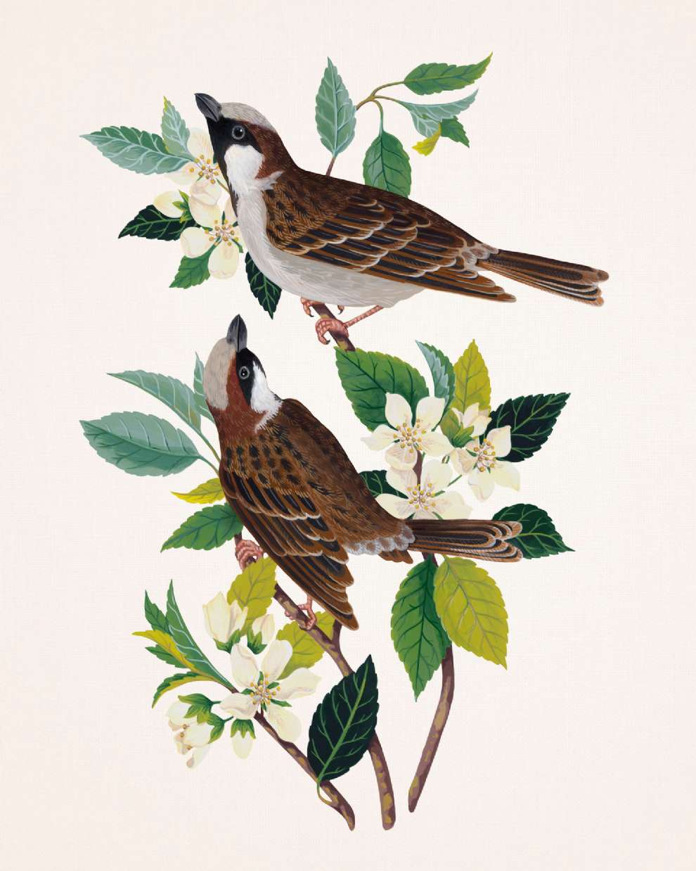 Charlotte Day, Delicately handpainted birds on branches with white flowers